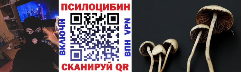 сайты даркнета какой сайт  Ясный  Галлюциногенные грибы GOLDEN TEACHER 